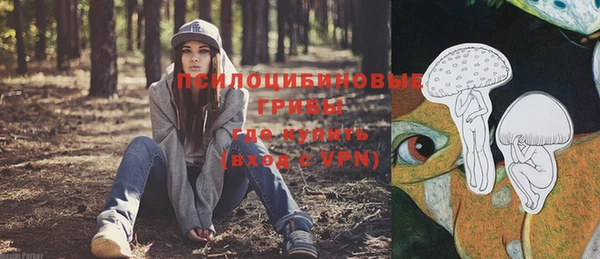 стафф Абдулино