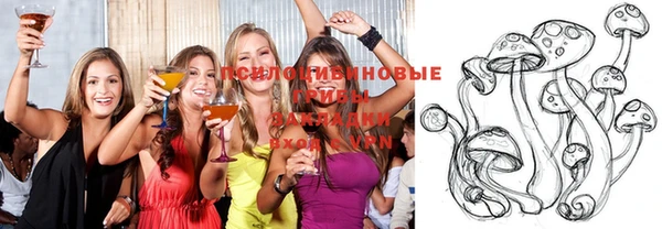 PSILOCYBIN Абинск