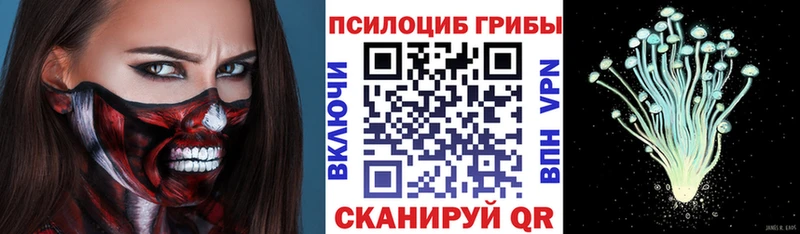 Псилоцибиновые грибы Cubensis Химки